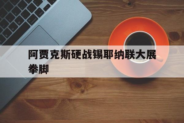 阿贾克斯硬战锡耶纳联大展拳脚的简单介绍